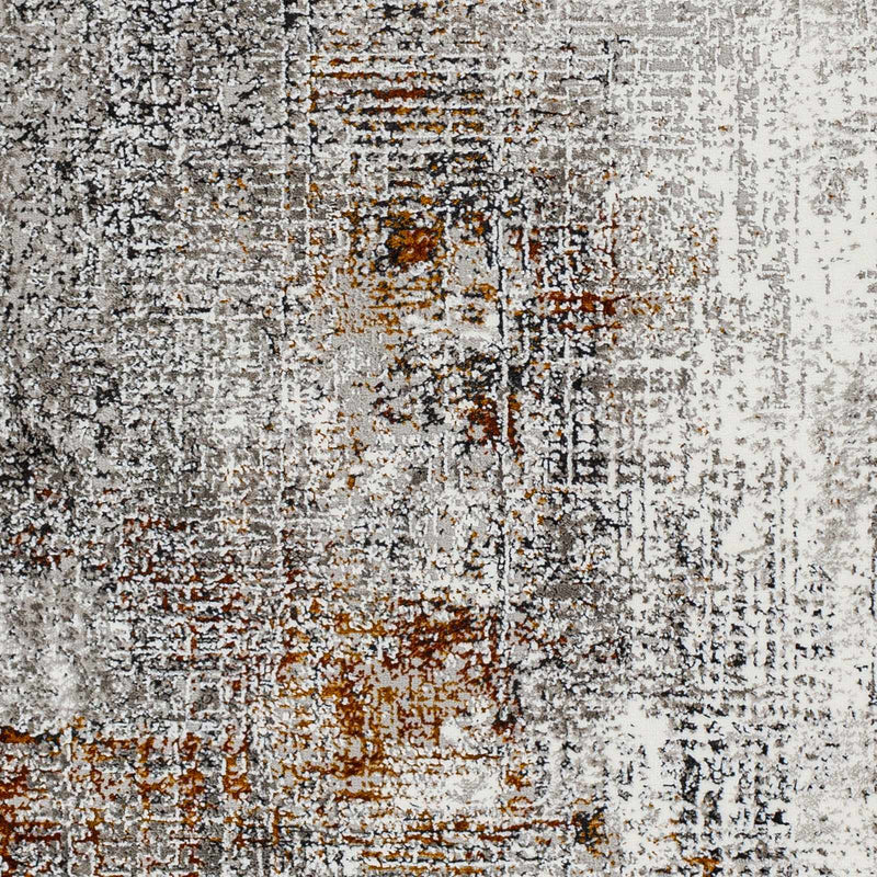 Ervin Gray Area Rug by Boutique Rugs