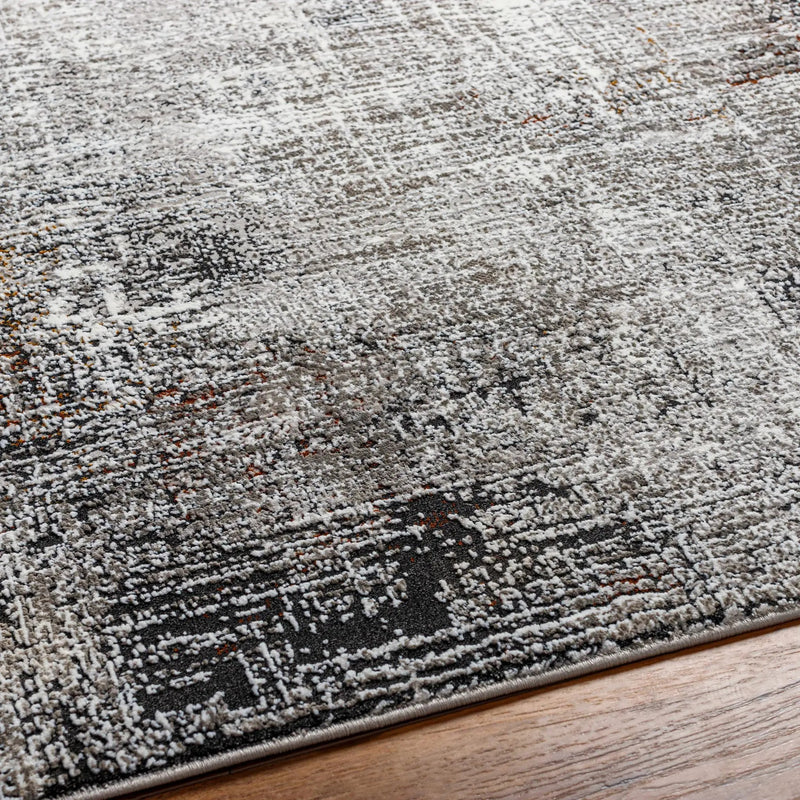 Ervin Gray Area Rug by Boutique Rugs