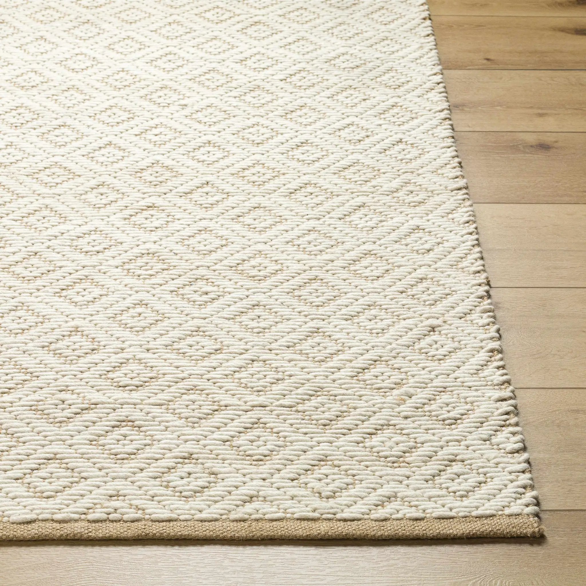 Irela Area Rug - Clearance by Boutique Rugs