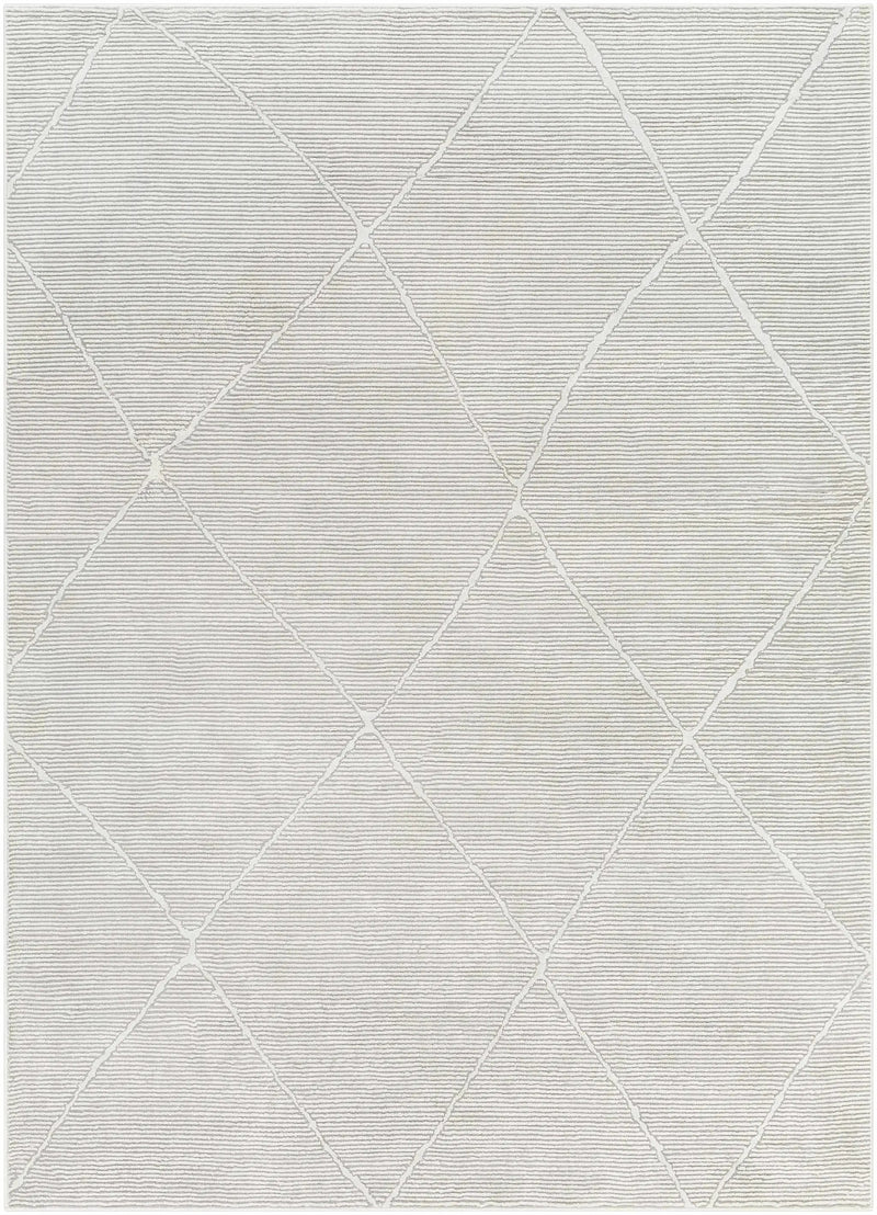 Aldis Grey Plush Textured Washable Rug - Clearance by Boutique Rugs