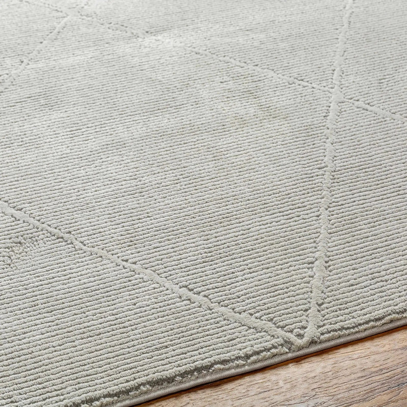 Aldis Grey Plush Textured Washable Rug - Clearance by Boutique Rugs