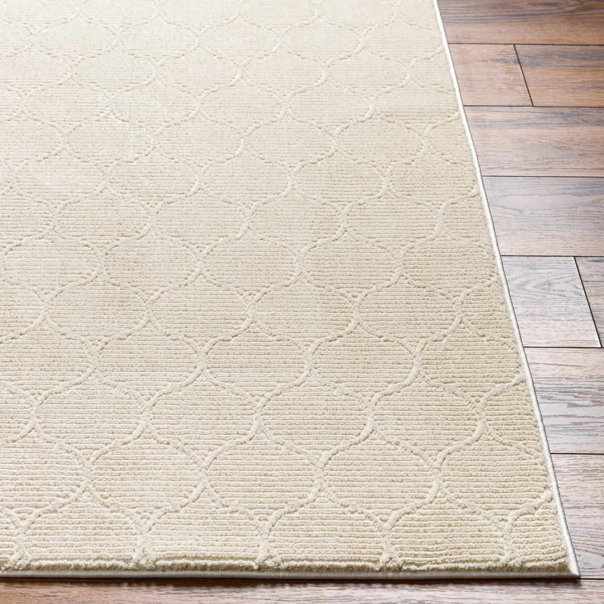 Gwen Washable Area Rug - Clearance by Boutique Rugs