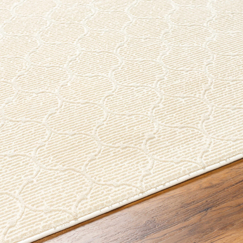 Gwen Washable Area Rug - Clearance by Boutique Rugs
