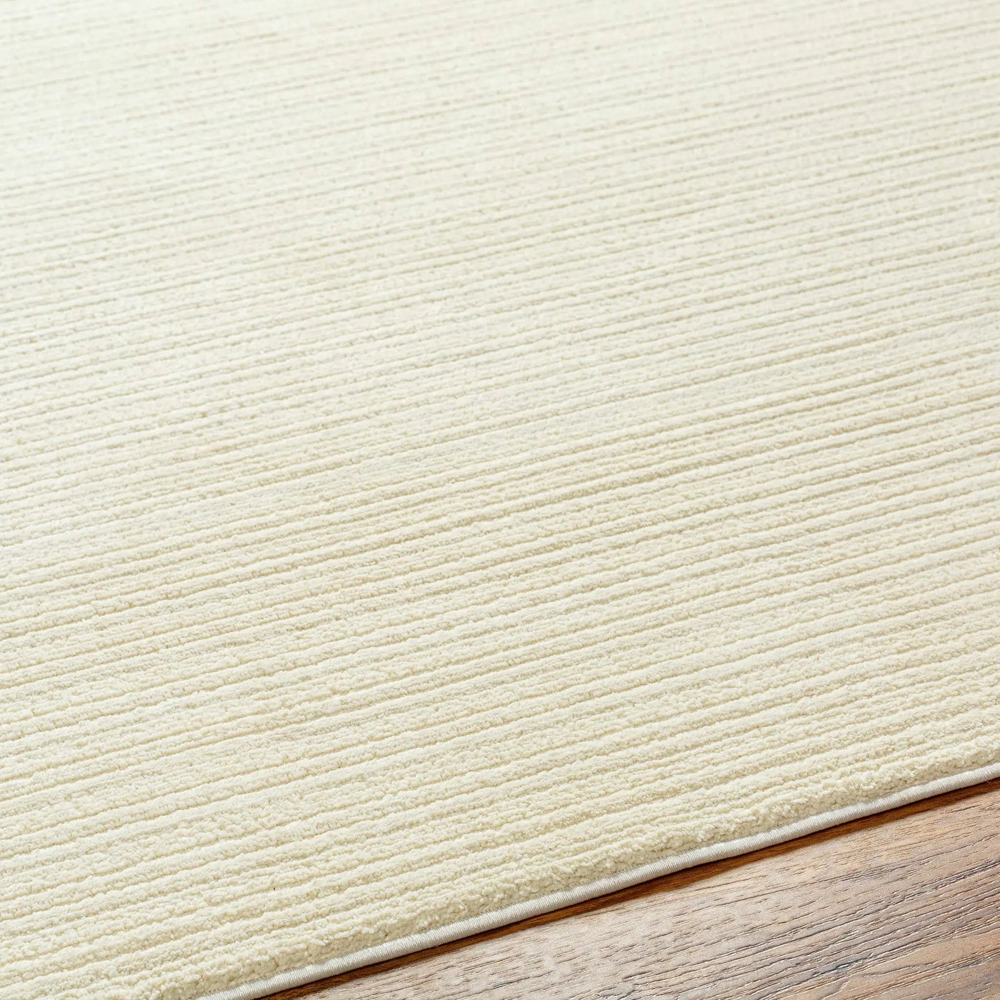 Kini Plush Textured Washable Rug by Boutique Rugs