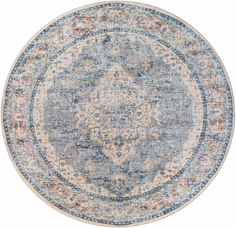 Salmo Area Rug - Clearance by Boutique Rugs