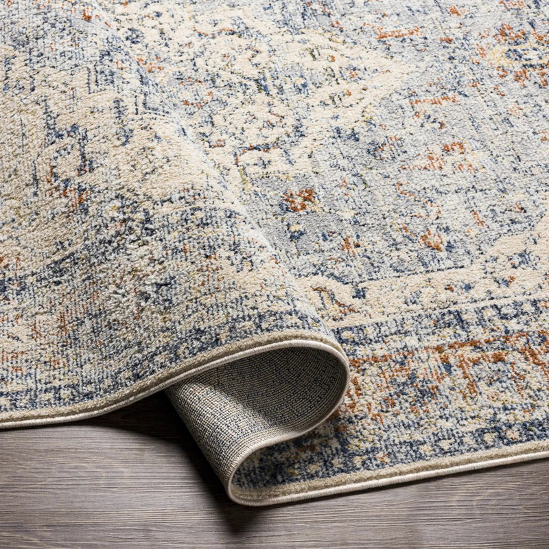 Salmo Area Rug - Clearance by Boutique Rugs