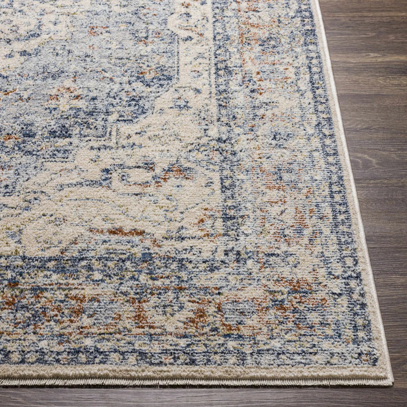 Salmo Area Rug - Clearance by Boutique Rugs