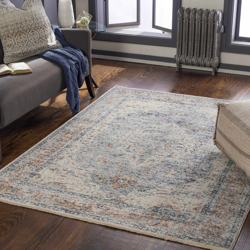 Salmo Area Rug - Clearance by Boutique Rugs