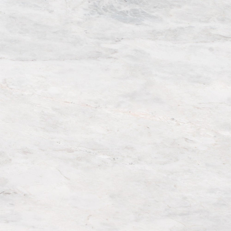 Savoy Polished Marble Tiles 24x24 Marble Polished 24x24 Tiles