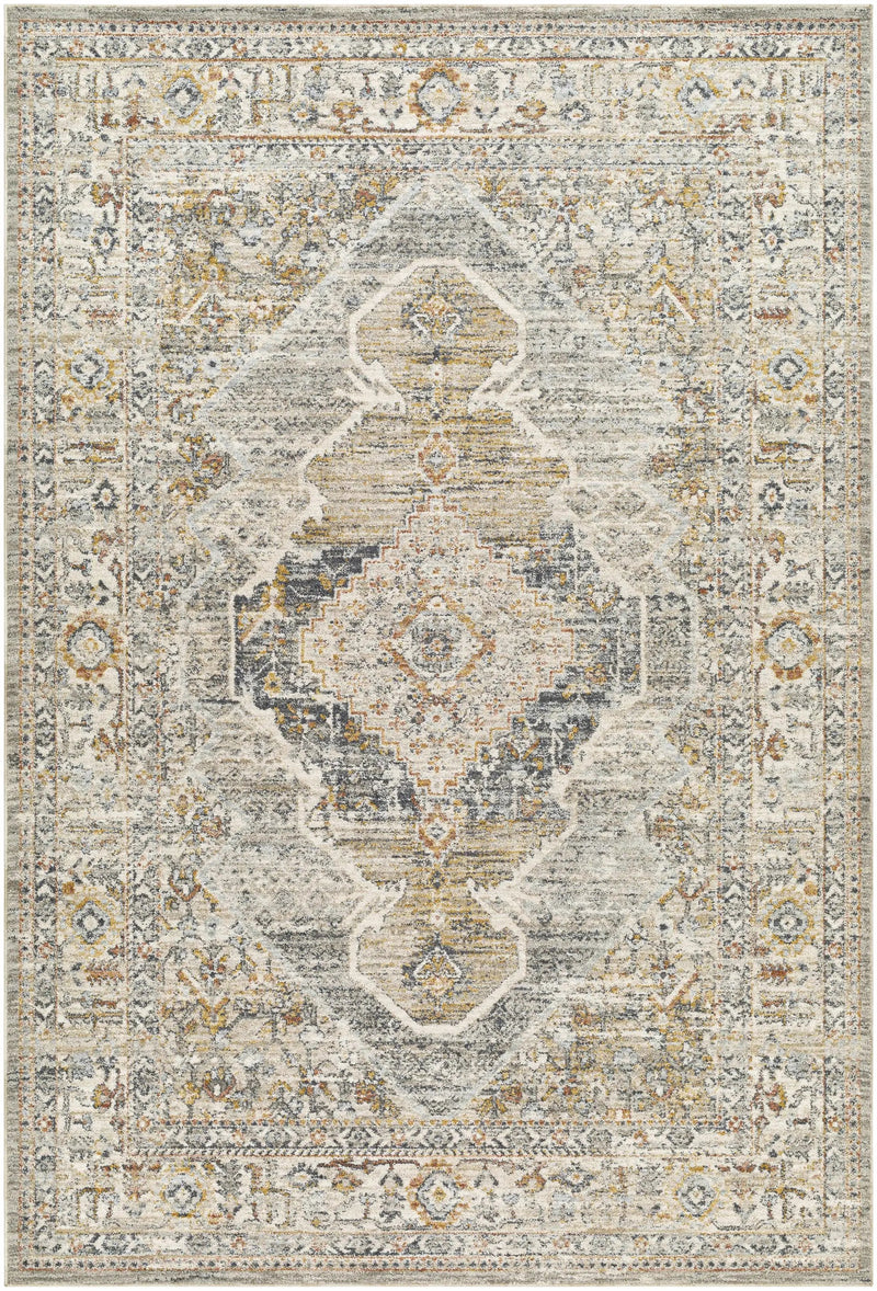 Jyler Traditional Area Rug - Clearance by Boutique Rugs