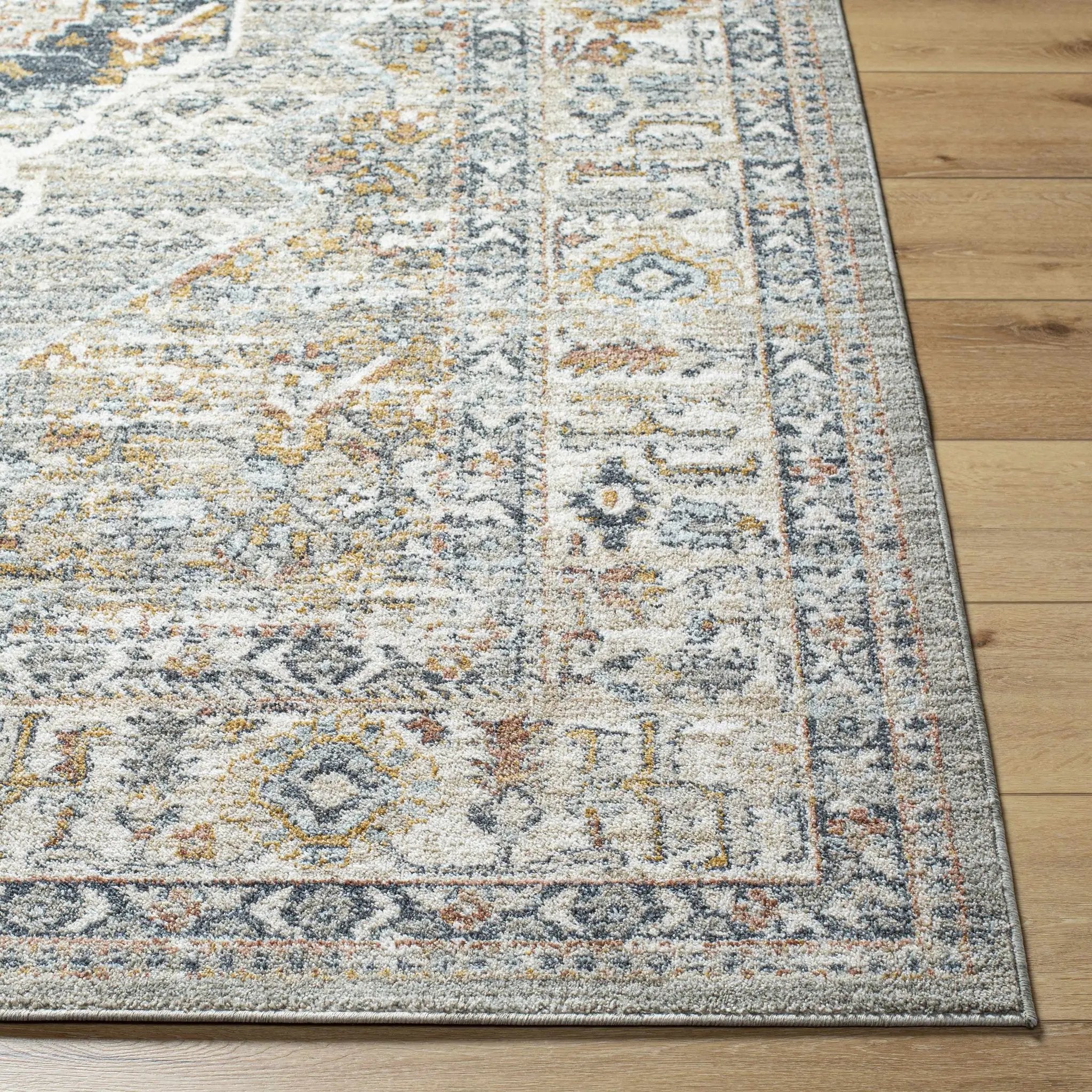 Jyler Traditional Area Rug - Clearance by Boutique Rugs