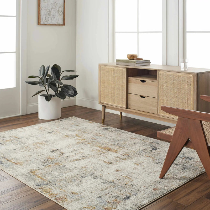Kacia Area Rug - Clearance by Boutique Rugs