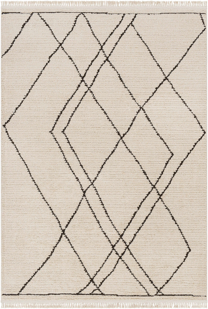 Ausca Area Rug - Clearance by Boutique Rugs