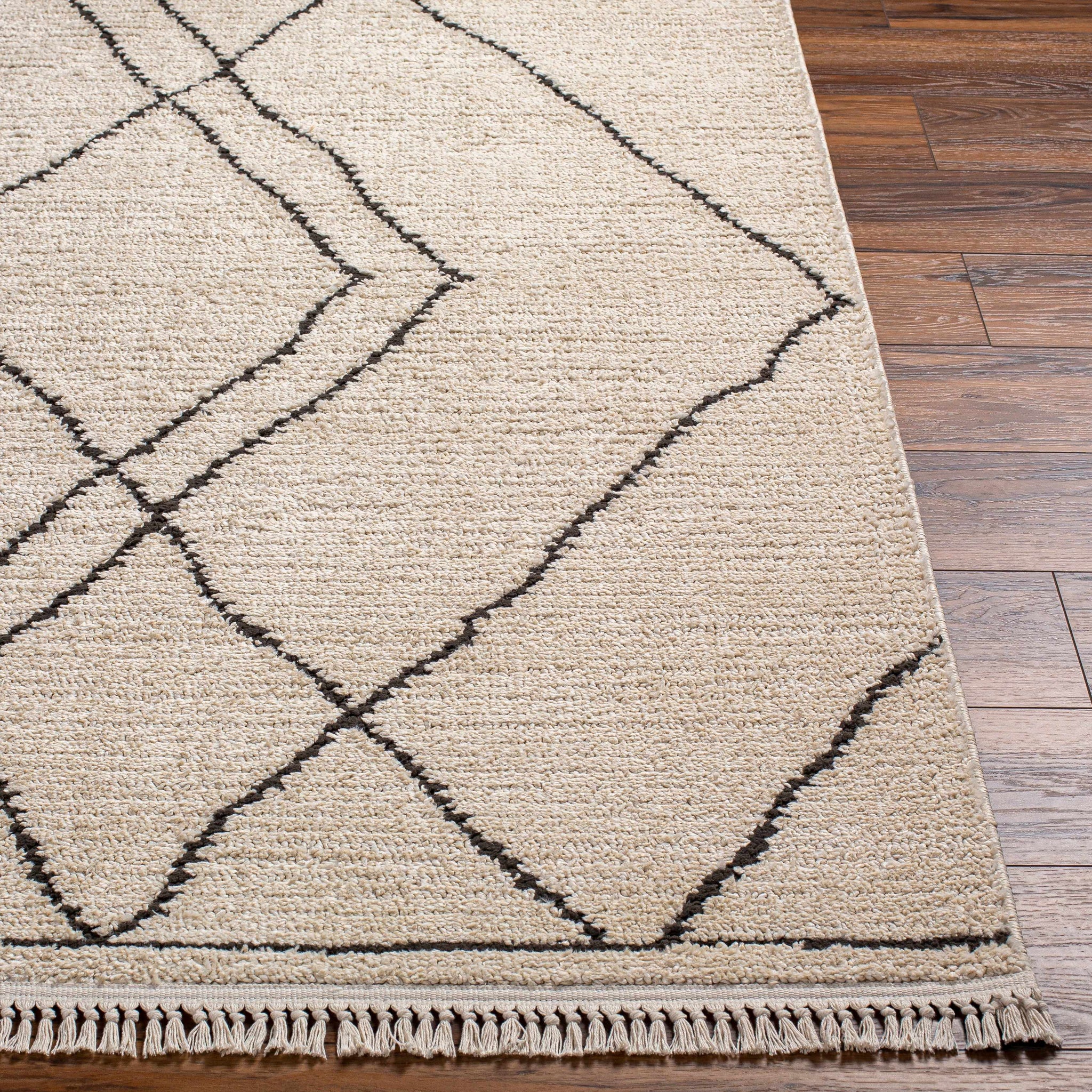 Ausca Area Rug - Clearance by Boutique Rugs