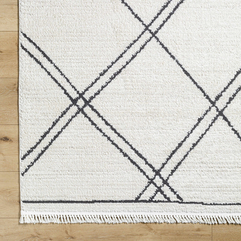Ausca Area Rug - Clearance by Boutique Rugs