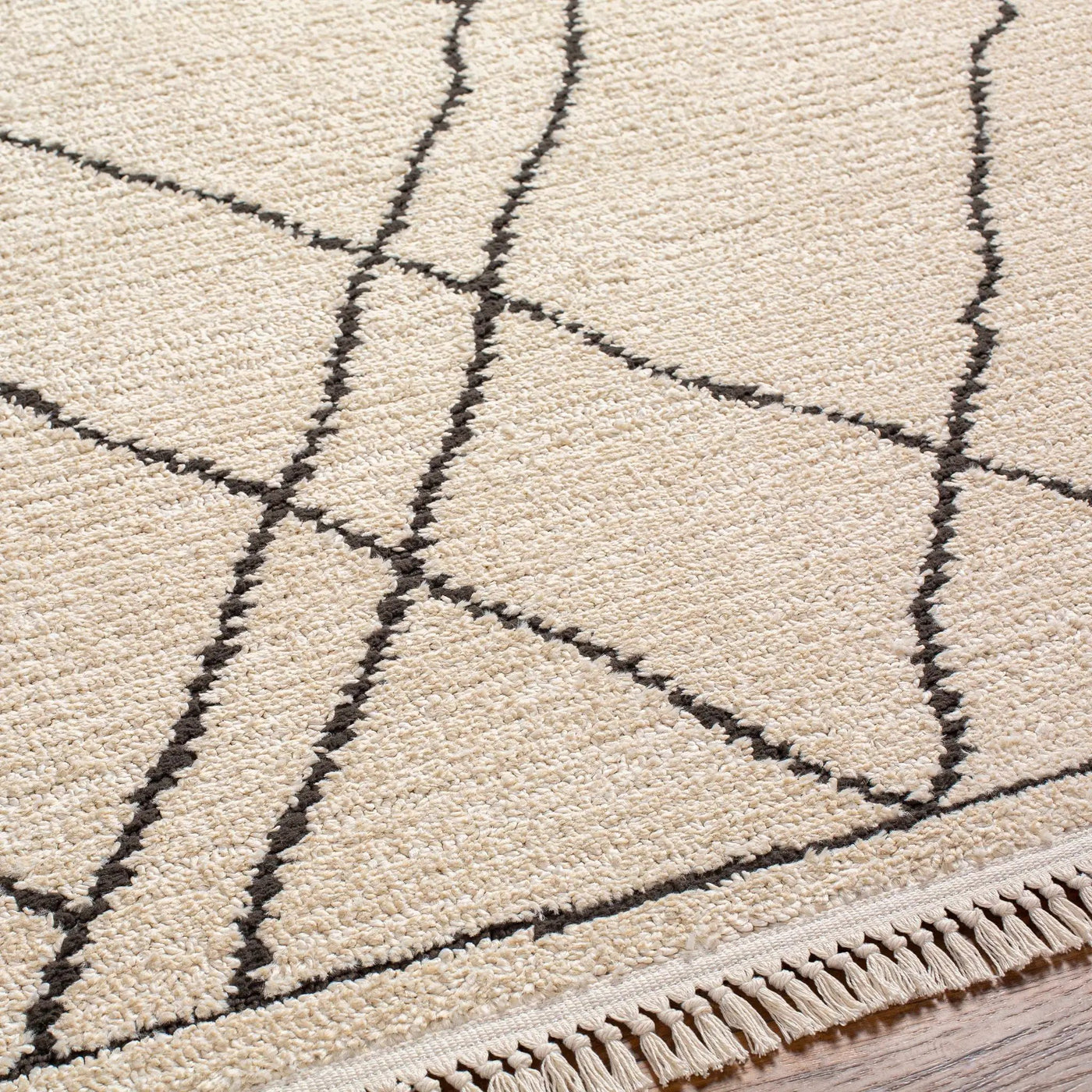 Ausca Area Rug - Clearance by Boutique Rugs