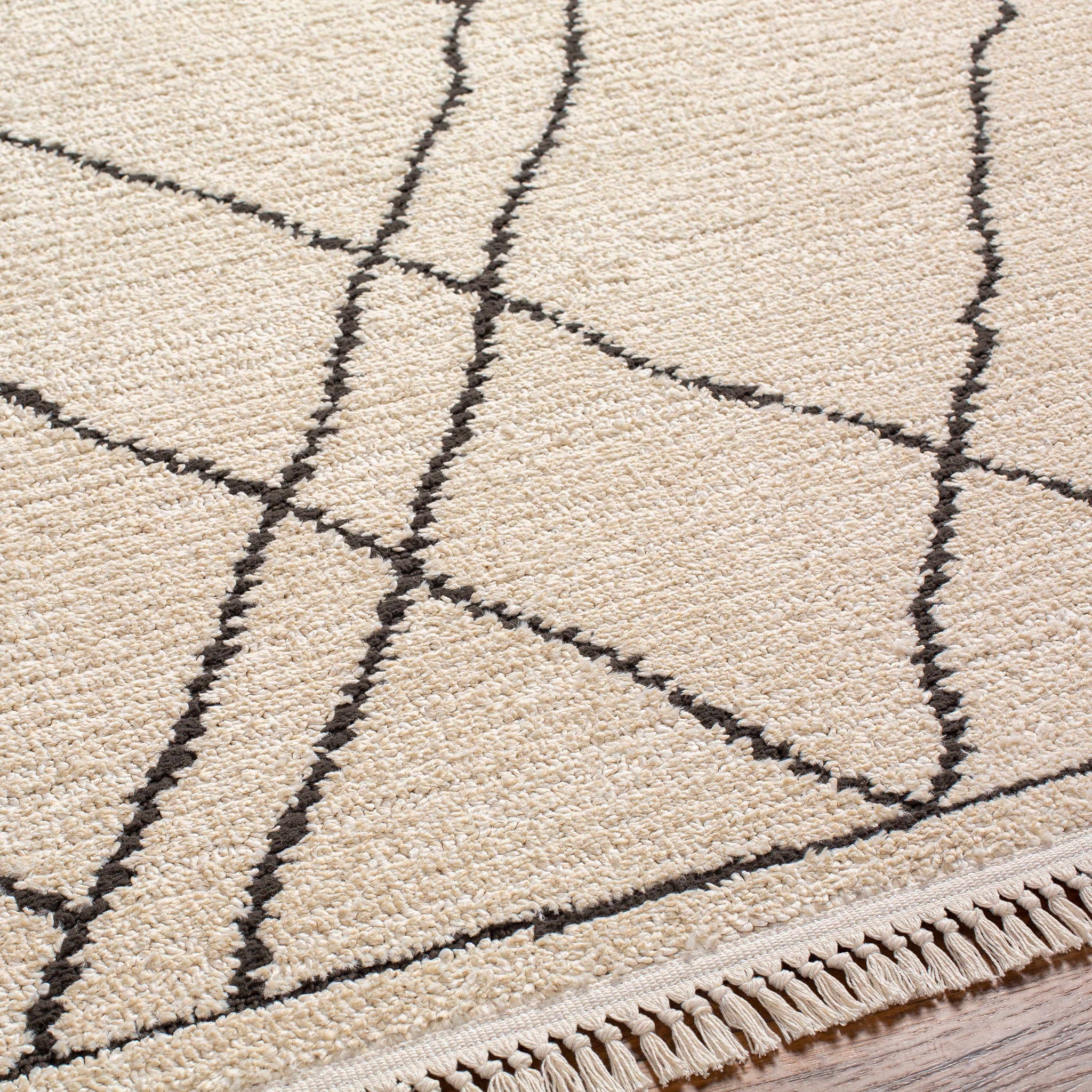Ausca Area Rug - Clearance by Boutique Rugs