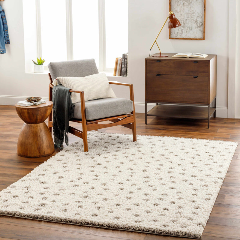 Chaia Dotted Cream & Gray Plush Area Rug - Clearance by Boutique Rugs