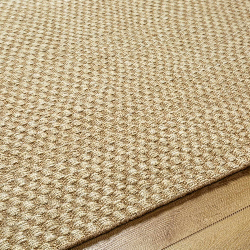 Ayers Beige Area Rug - Clearance by Boutique Rugs