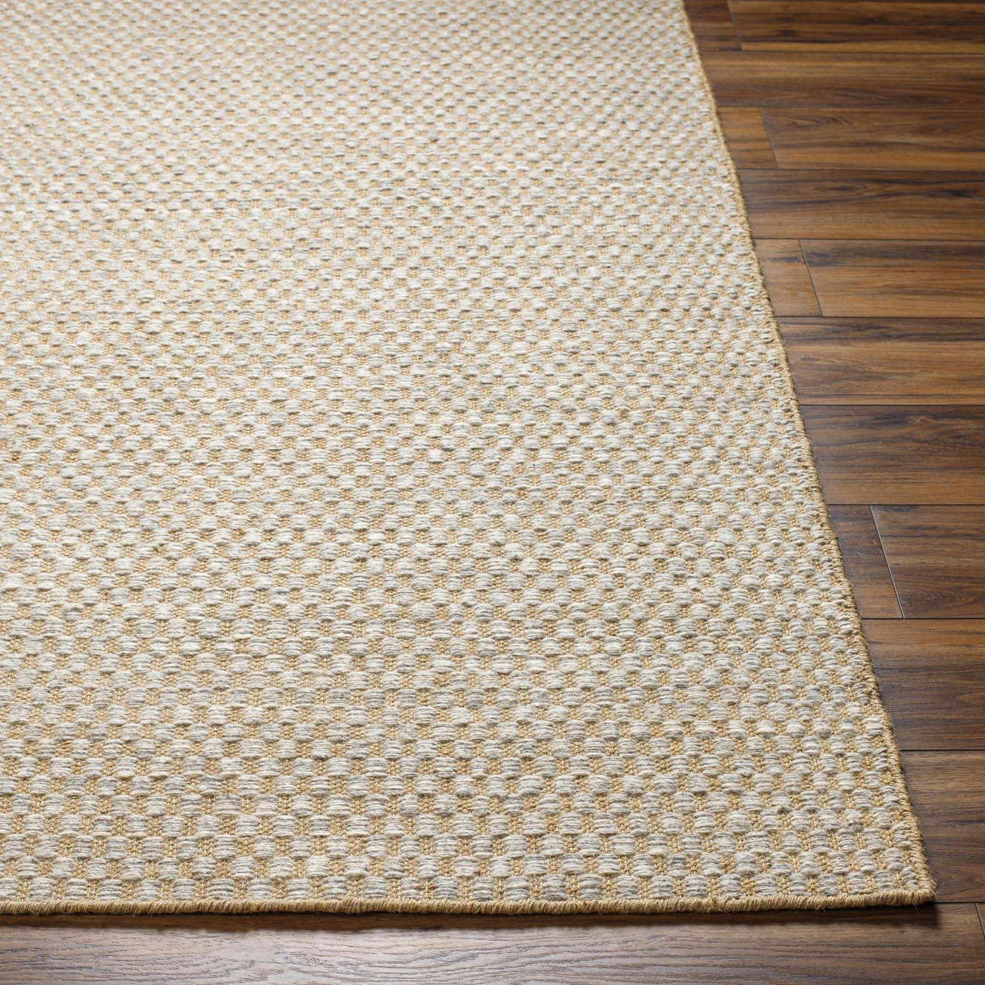 Ayers Beige & Gray Area Rug - Clearance by Boutique Rugs