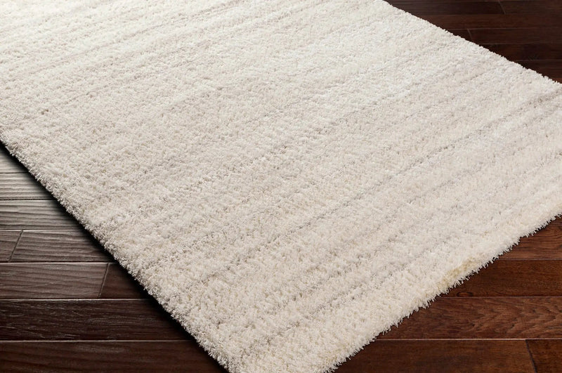 Ajeya Area Rug by Boutique Rugs