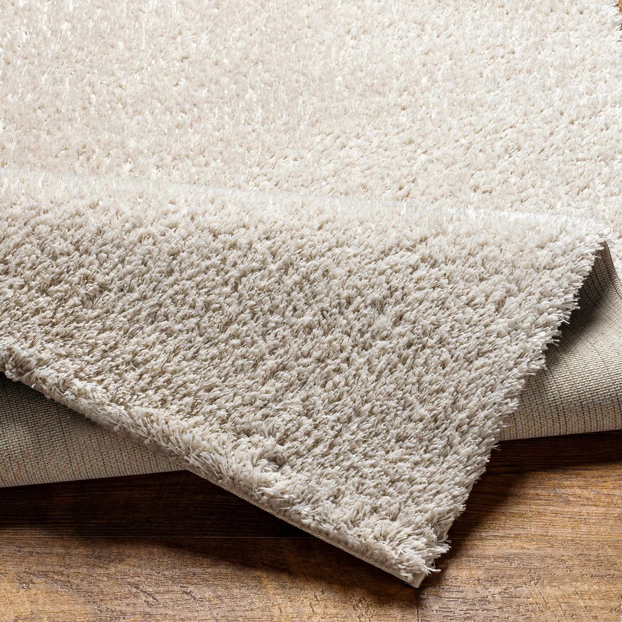 Ajeya Area Rug by Boutique Rugs