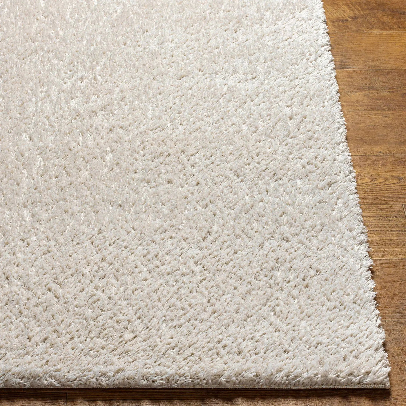 Ajeya Area Rug by Boutique Rugs