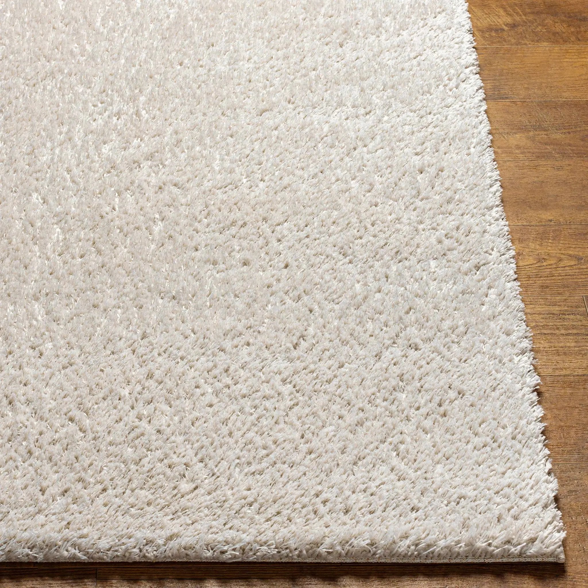 Ajeya Area Rug by Boutique Rugs