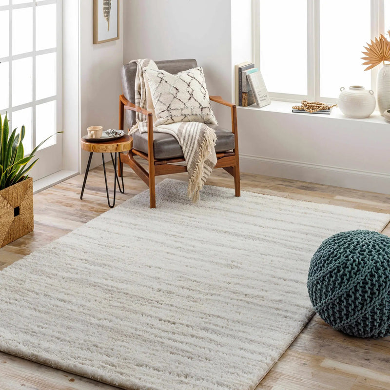 Ajeya Area Rug by Boutique Rugs