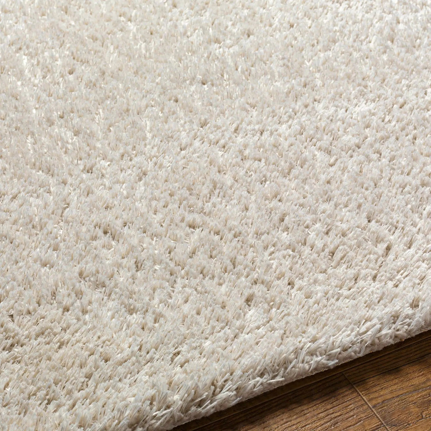 Ajeya Area Rug by Boutique Rugs