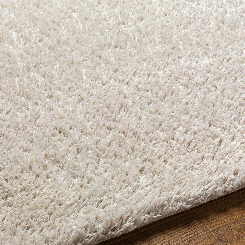 Ajeya Area Rug by Boutique Rugs