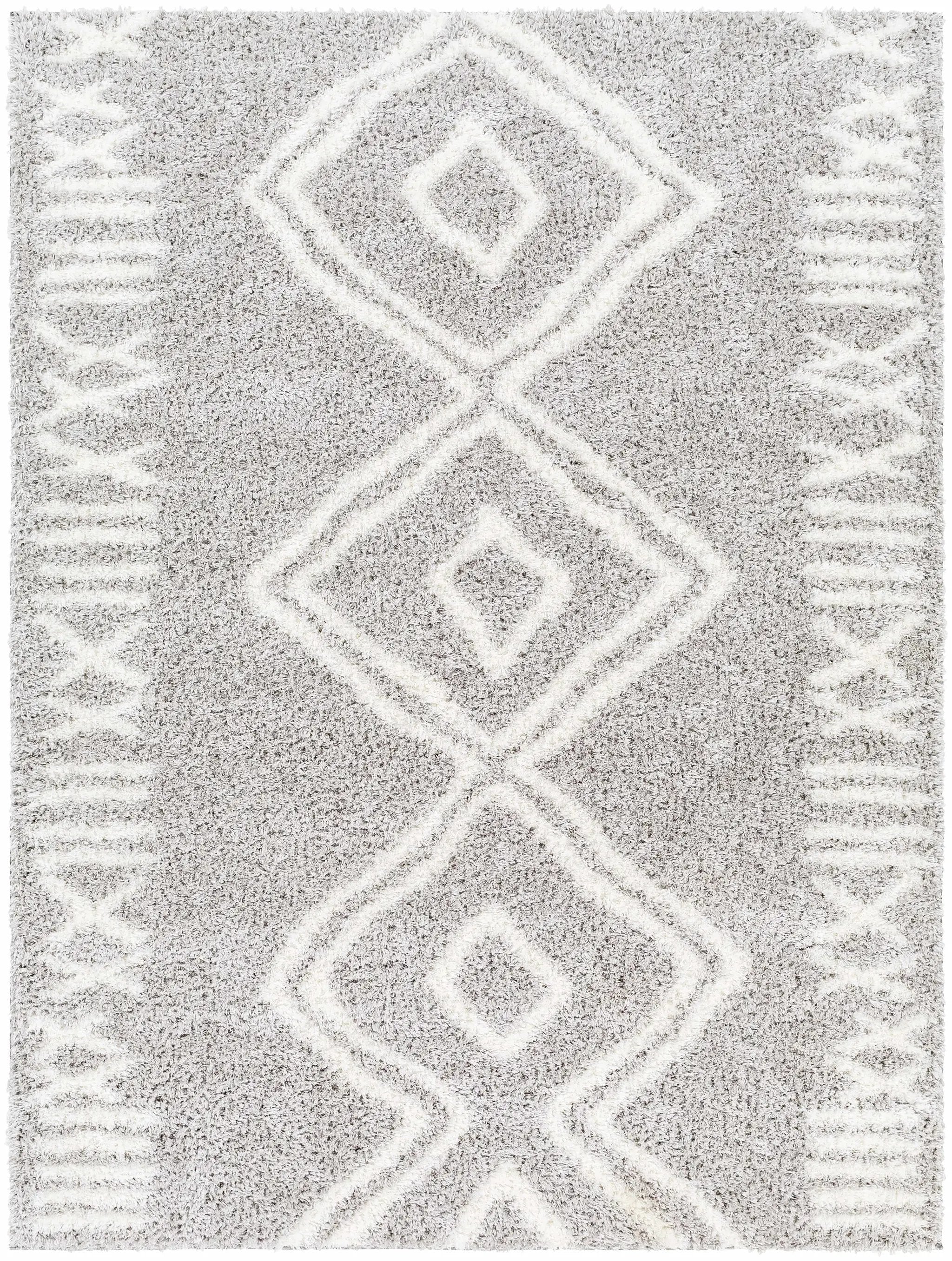 Asael Gray Area Rug - Clearance by Boutique Rugs