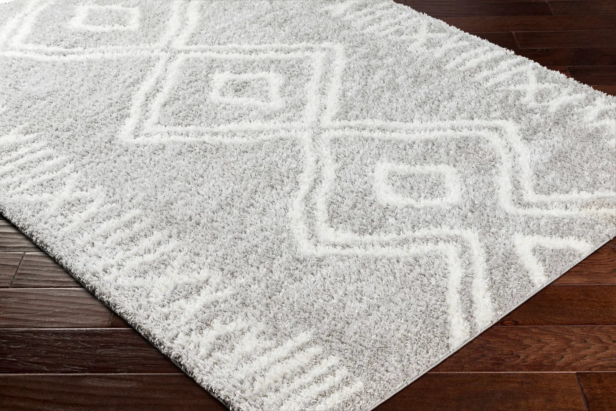 Asael Gray Area Rug - Clearance by Boutique Rugs