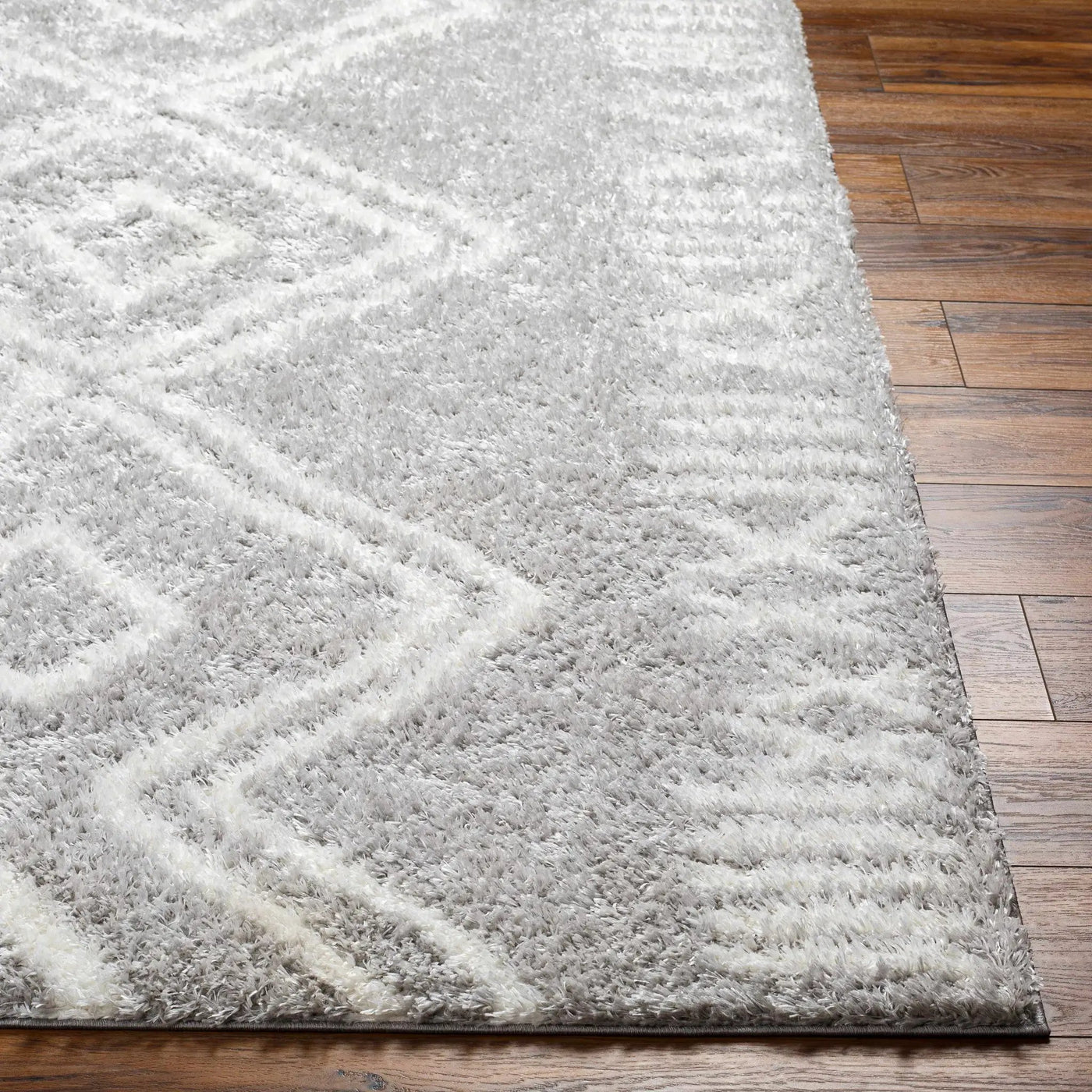 Asael Gray Area Rug - Clearance by Boutique Rugs