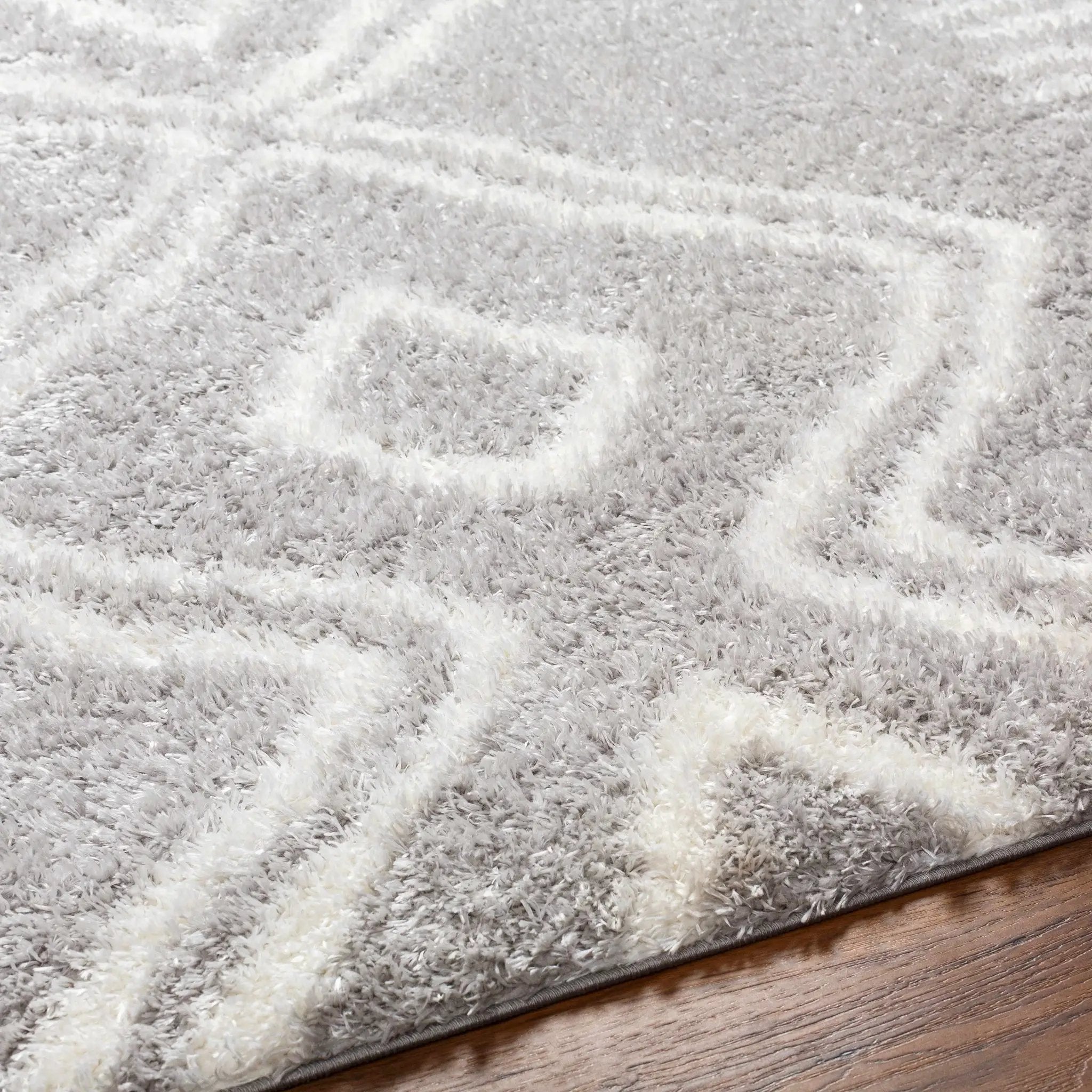 Asael Gray Area Rug - Clearance by Boutique Rugs