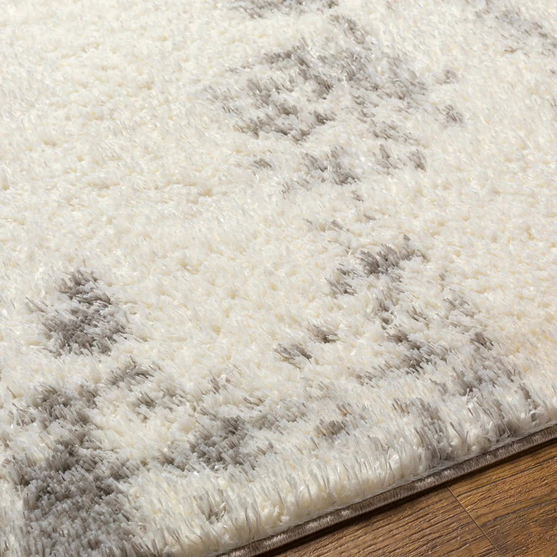 Azizi Area Rug by Boutique Rugs