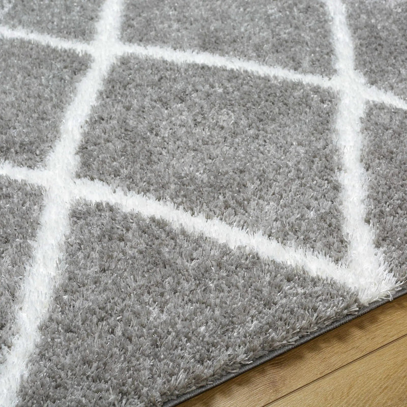Faye Area Rug by Boutique Rugs