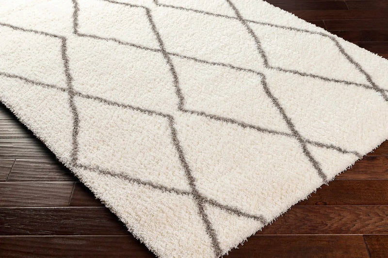 Maximiliano Area Rug by Boutique Rugs