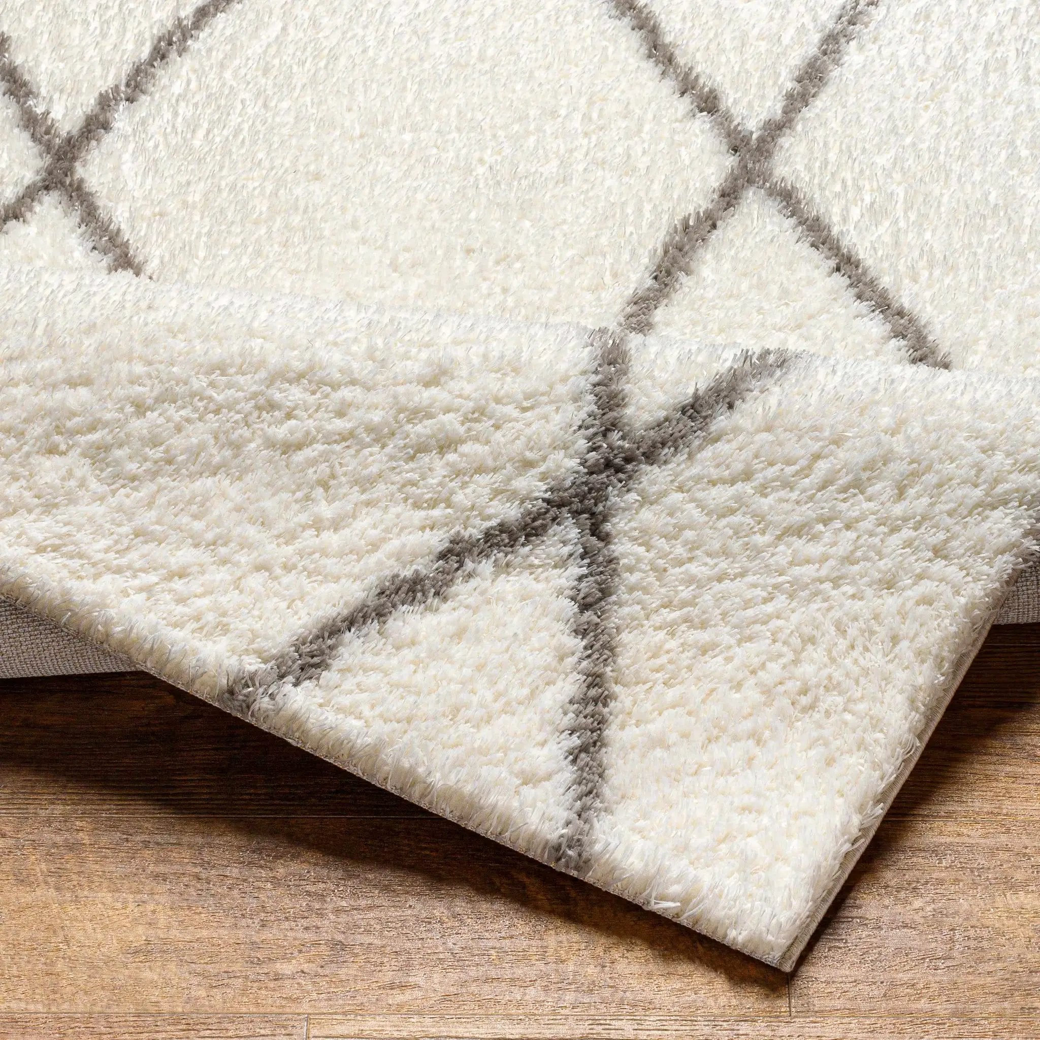 Maximiliano Area Rug by Boutique Rugs