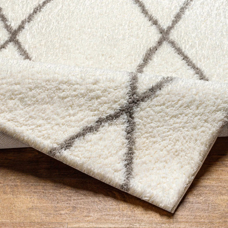 Maximiliano Area Rug by Boutique Rugs
