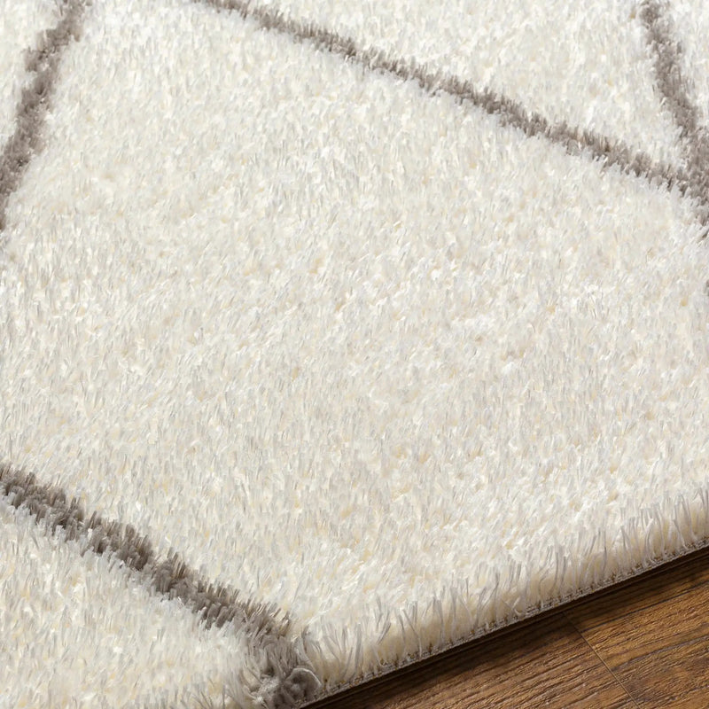 Maximiliano Area Rug by Boutique Rugs