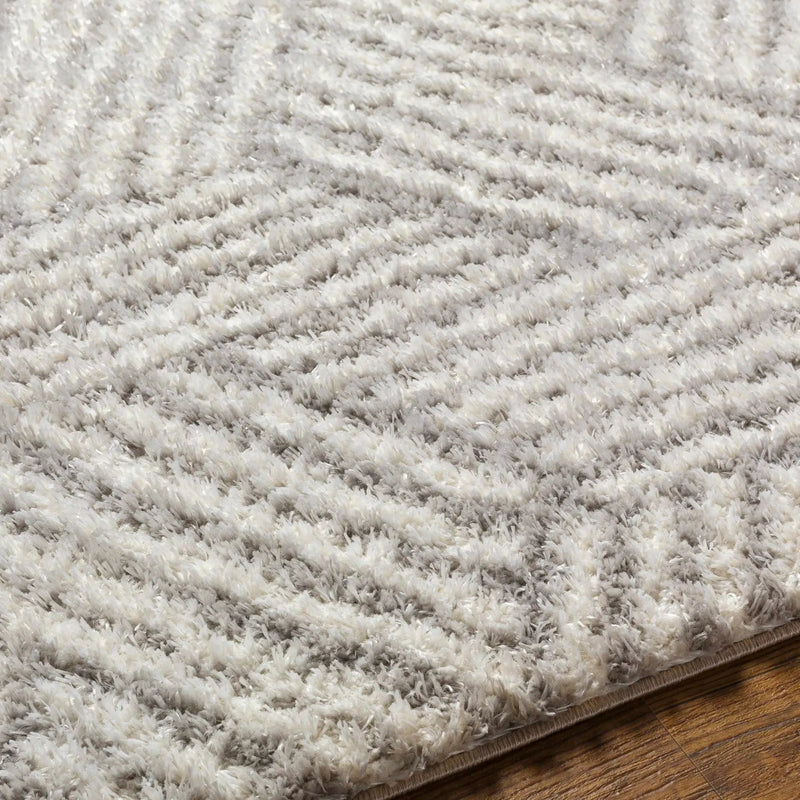 Mura Gray Area Rug by Boutique Rugs
