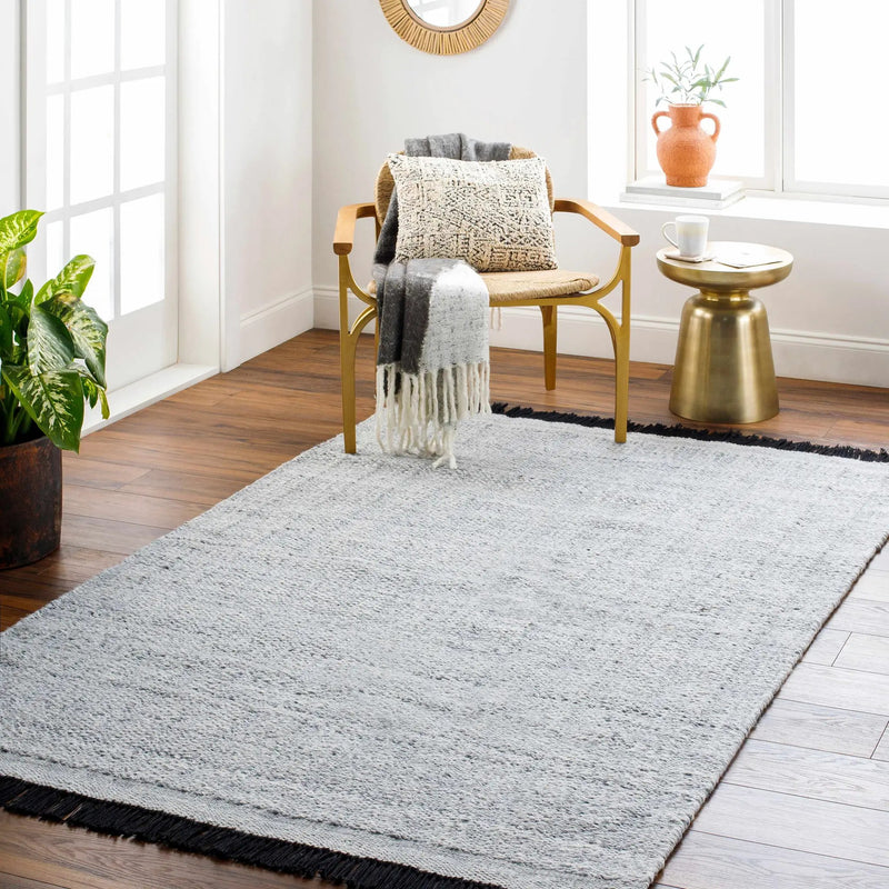 Gray Anane Area Rug - Clearance by Boutique Rugs