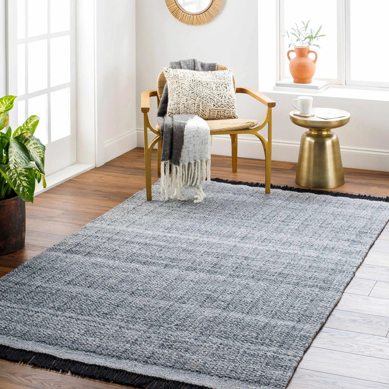 Dark Gray Anane Area Rug - Clearance by Boutique Rugs