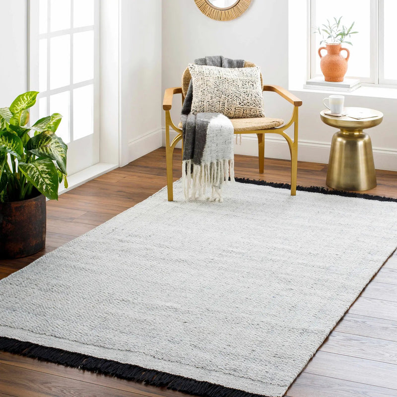 Light Gray Anane Area Rug - Clearance by Boutique Rugs