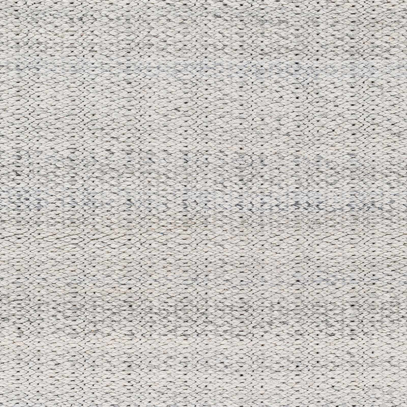 Light Gray Anane Area Rug - Clearance by Boutique Rugs