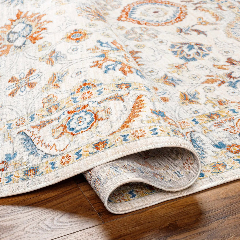 Araya Area Rug - Clearance by Boutique Rugs