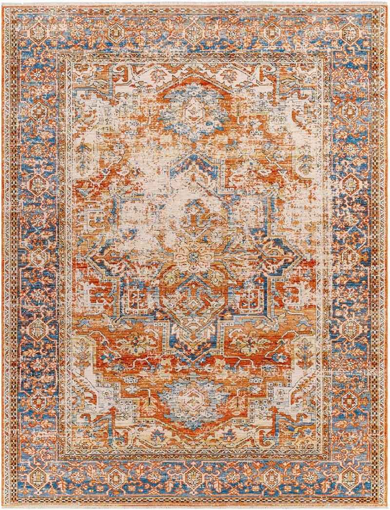 Basim Area Rug - Clearance by Boutique Rugs
