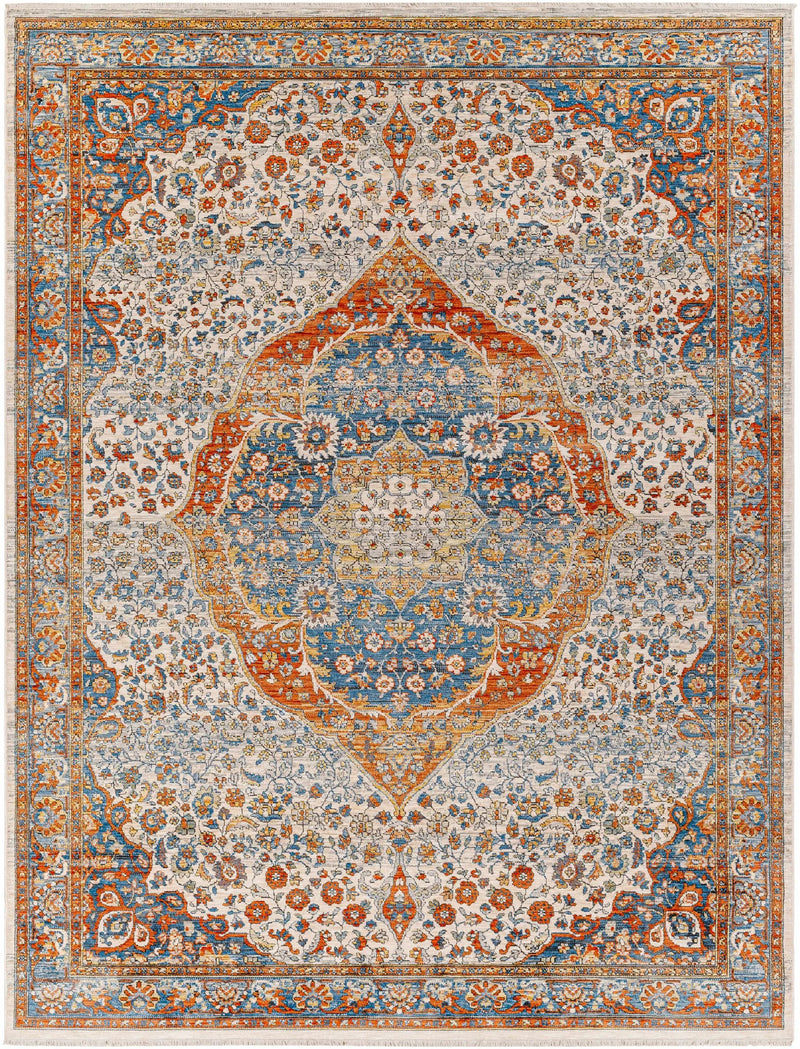 Bojan Area Rug - Clearance by Boutique Rugs