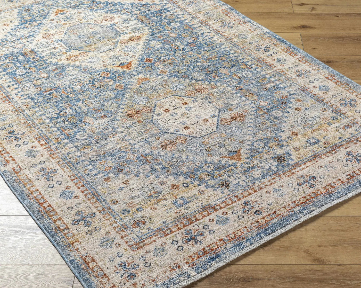 Cyndi Area Rug - Clearance by Boutique Rugs